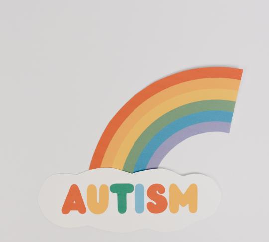 Specialist Autism Support