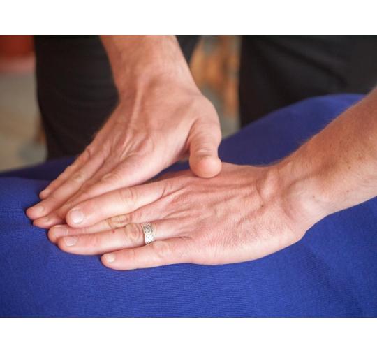 McTimoney Chiropractic