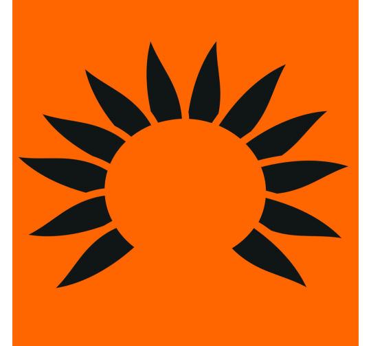 The Thrive Programme